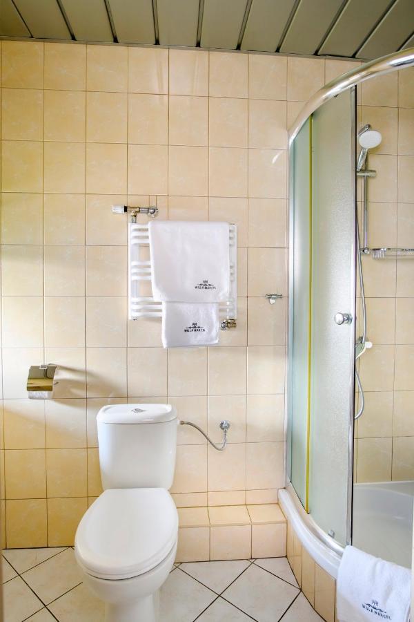 Willa Marcel Park Villa Busko-Zdrój Kültér fotó